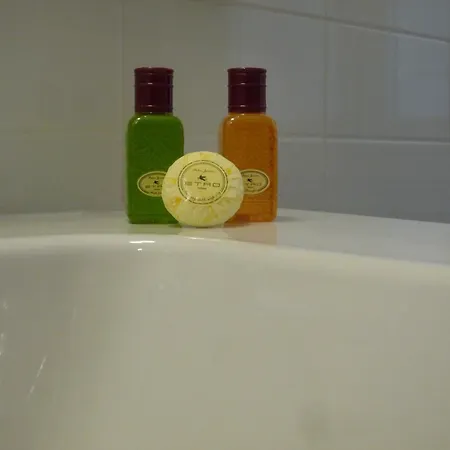 Oda ve Kahvaltı Alma Mater