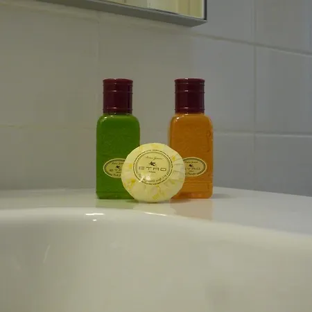 알마 마터 비앤비 B&B 로마